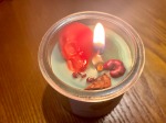 Poison Apple Candle By MZ Candles Review