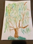 Watercolor Weeping Willow